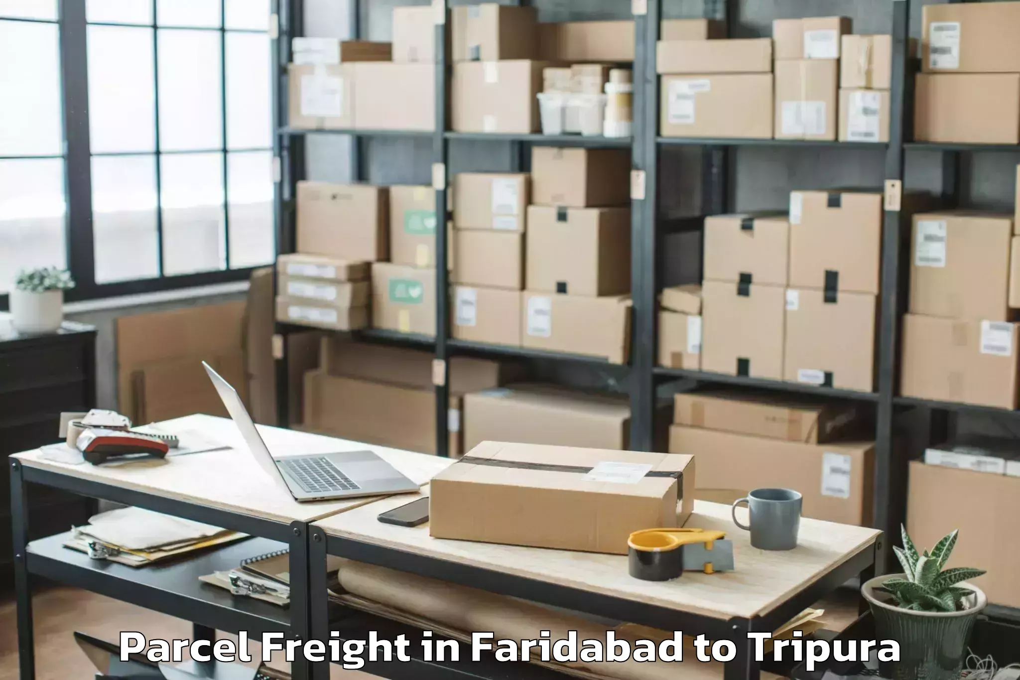 Efficient Faridabad to Aambasa Parcel Freight